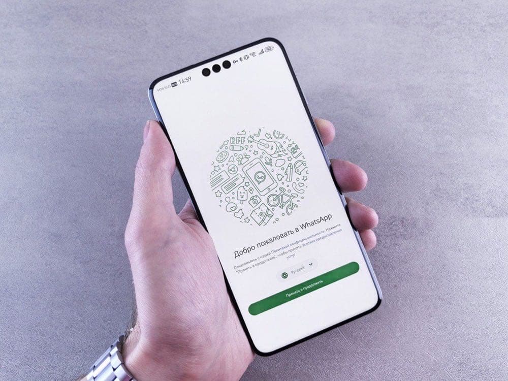 WhatsApp Business App vs API: Which One Do You Need? — WhatsApp Business API guide
